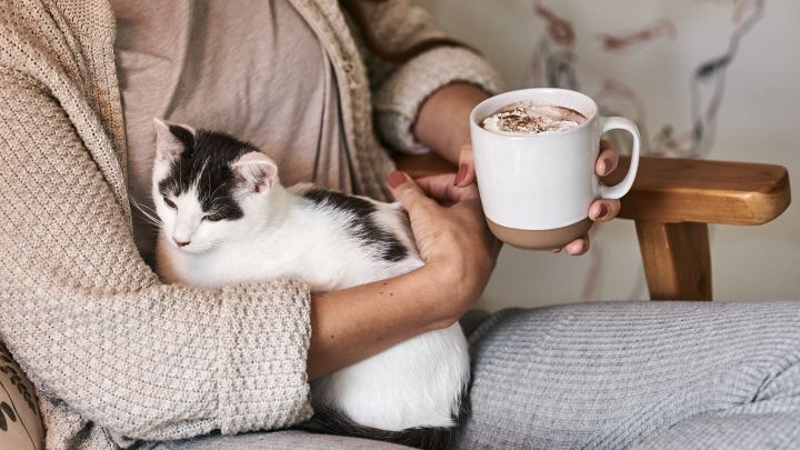 A cosy autumn cuddle with a white coffee mug from Scandi Living in hand and cat in your arms.