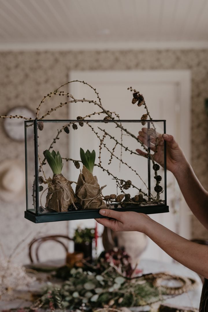 Decorate the Advent display box from House Doctor with hyacinth, a perfectly simple DIY Christmas craft. Photo: Johanna Berglund @snickargladjen