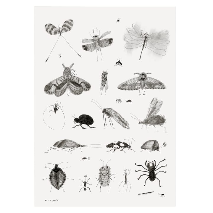 Bugs poster - 50x70 cm - Fine Little Day