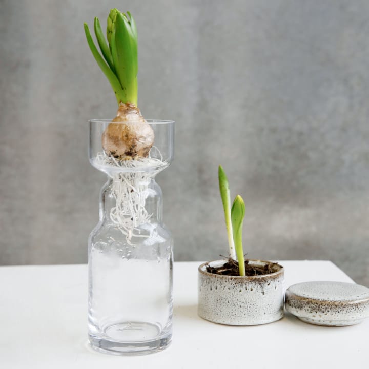 Cinth glass vase - cinth - House Doctor