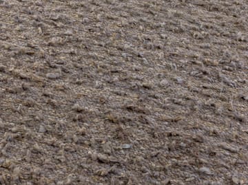 Woolly rug - Light brown 170x240 cm - Kateha