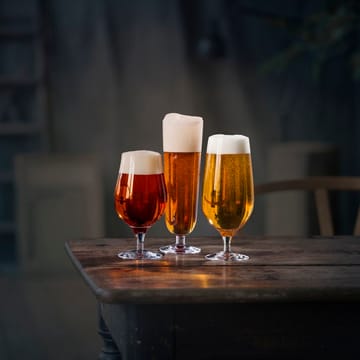 Beer taster beer glass 4-pack - 4-pack - Orrefors