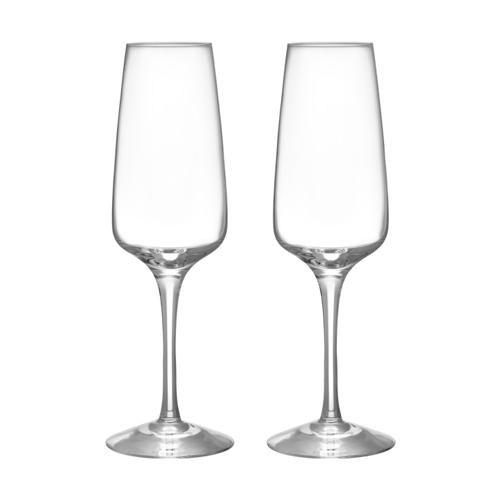 Pulse champagne glass 28 cl 2-pack - Clear - Orrefors