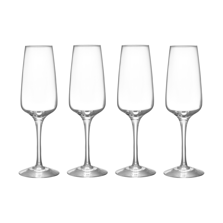 Pulse champagne glass 28 cl 4-pack - Clear - Orrefors