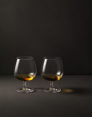 Grand Cru cognac glasses 2-pack - clear 2-pack - Rosendahl