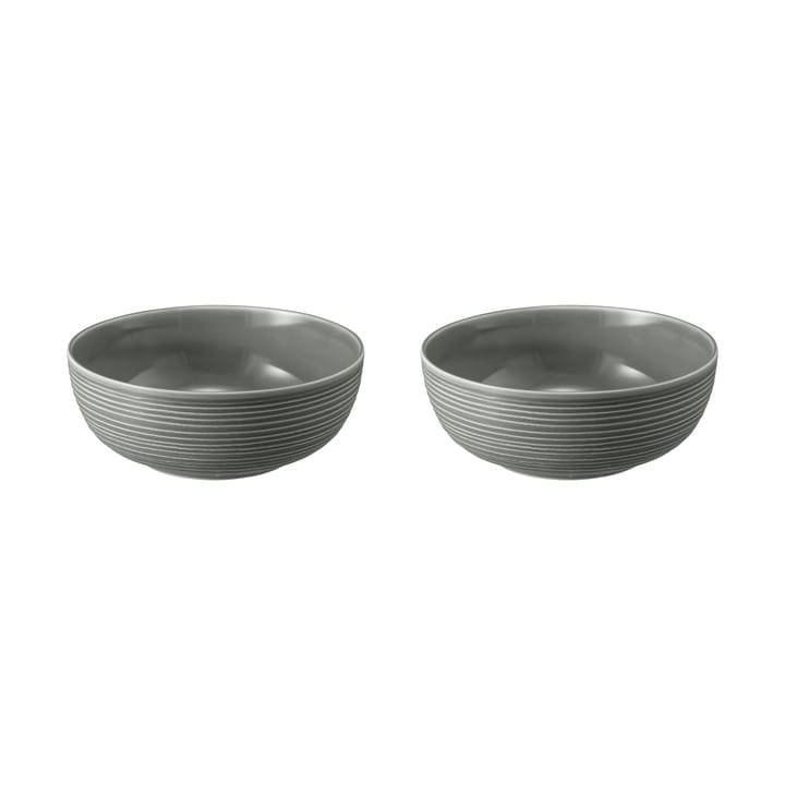 Terra bowl Ø20.4 cm 2-pack - Pearl Grey - Seltmann Weiden