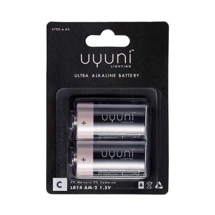 Uyuni Battery 2-pack - C - Uyuni Lighting