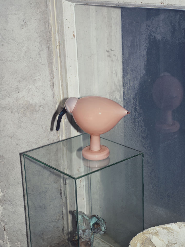Birds by Toika bird in salmon pink standing on glass cube.