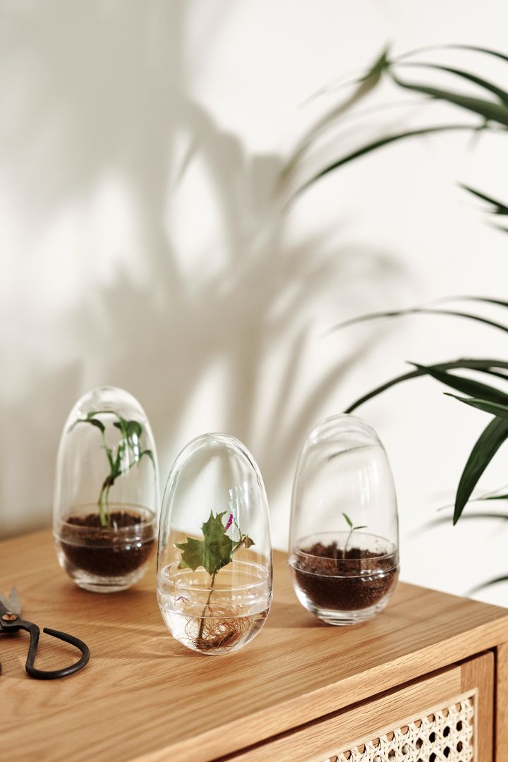 Here you see a collection of the Grow greenhouses from Design House Stockholm in small.