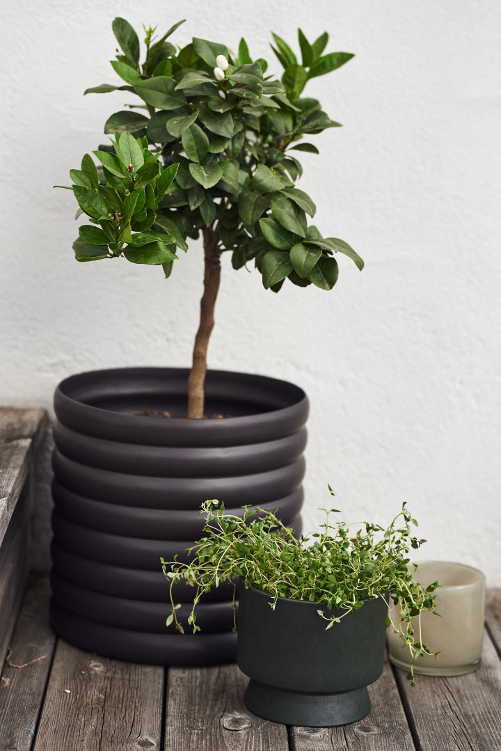 Decorate your balcony with pots in different colours, shapes and sizes for a real oasis. Here the Mud pot in black from DBKD with a lemon tree.