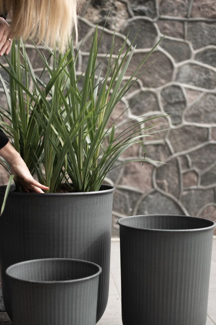 Here Out Stripe pots in a set of three from DBKD in black. Perfect for decorative grass or other larger plants and a great idea for the balcony. 